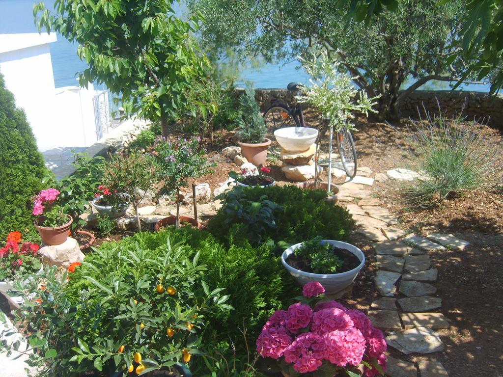 Apartments Iva Alla Trogir Room photo
